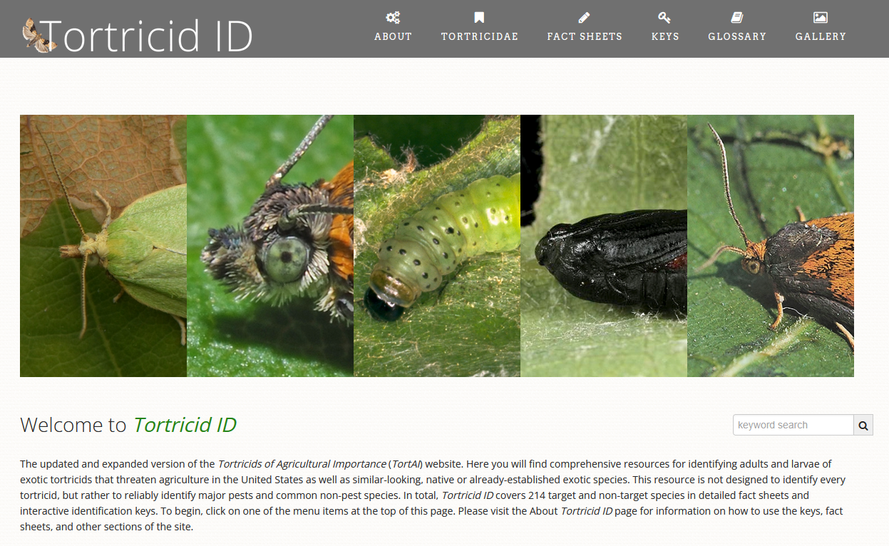 Updated and expanded version of the Tortricids of Agricultural Importance