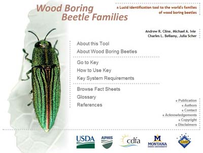 Wood Boring Beetle Families Tool